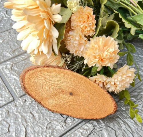 جذع خشب طبيعي شكل بيضاوي مقاس 12.5 سم