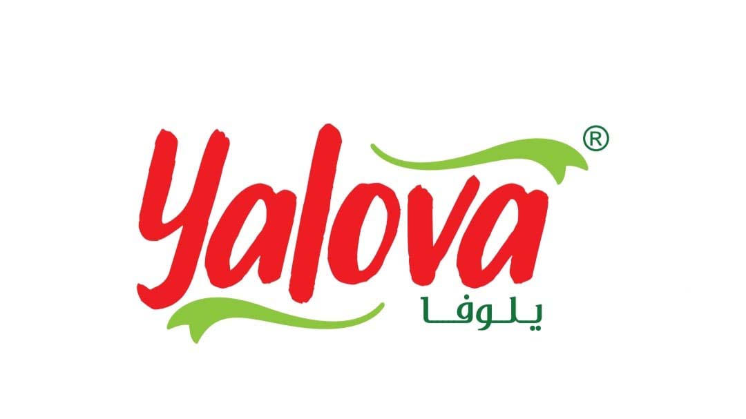 يلوفا