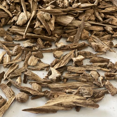 دقة عود مروكي حي