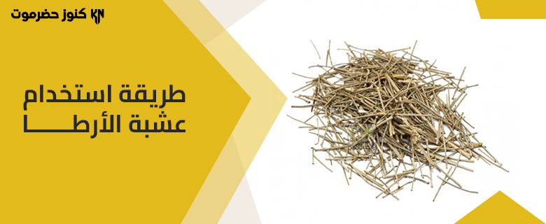 ما هي طريقة استخدام عشبة الارطا؟ وأهم مميزاتها