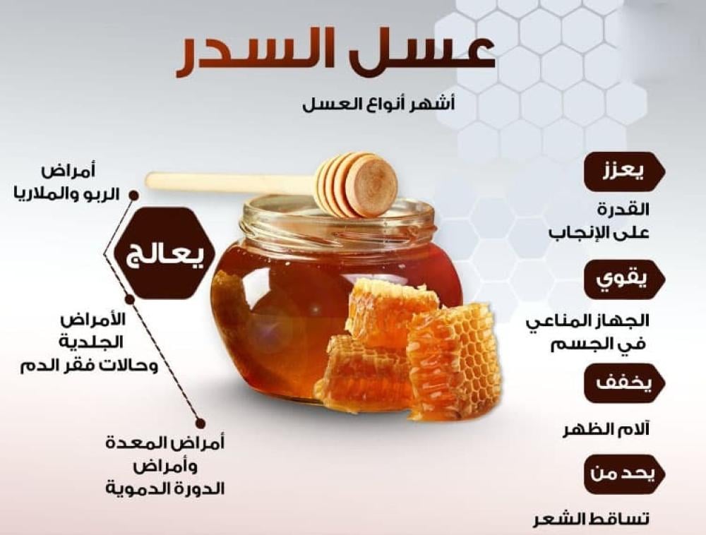 عسل السدر سائل الذهب الذي يحسن صحتك