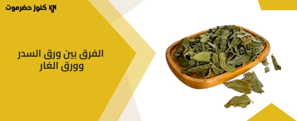 الفرق بين ورق السدر وورق الغار الفرق بين ورق السدر وورق الغار