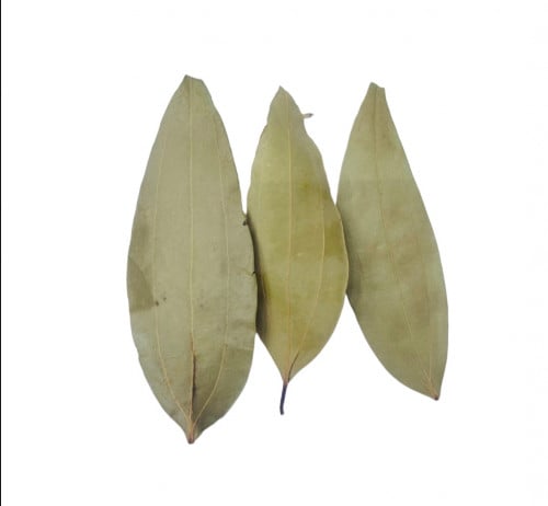 ورق غار هندي