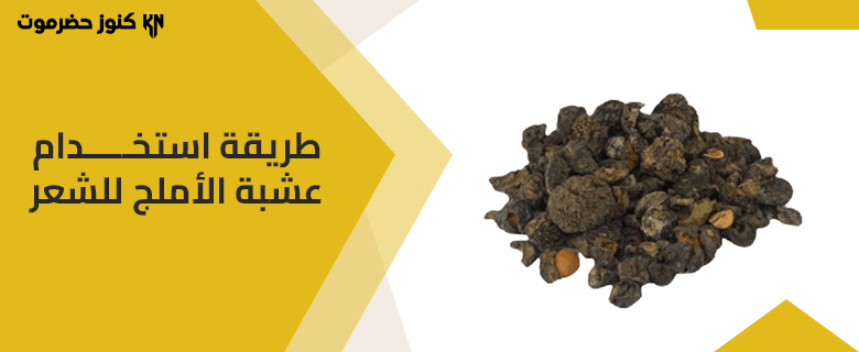 تعرفي على طريقة استخدام عشبة الأملج للشعر