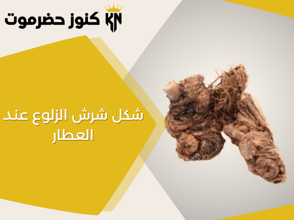 شكل شرش الزلوع عند العطار