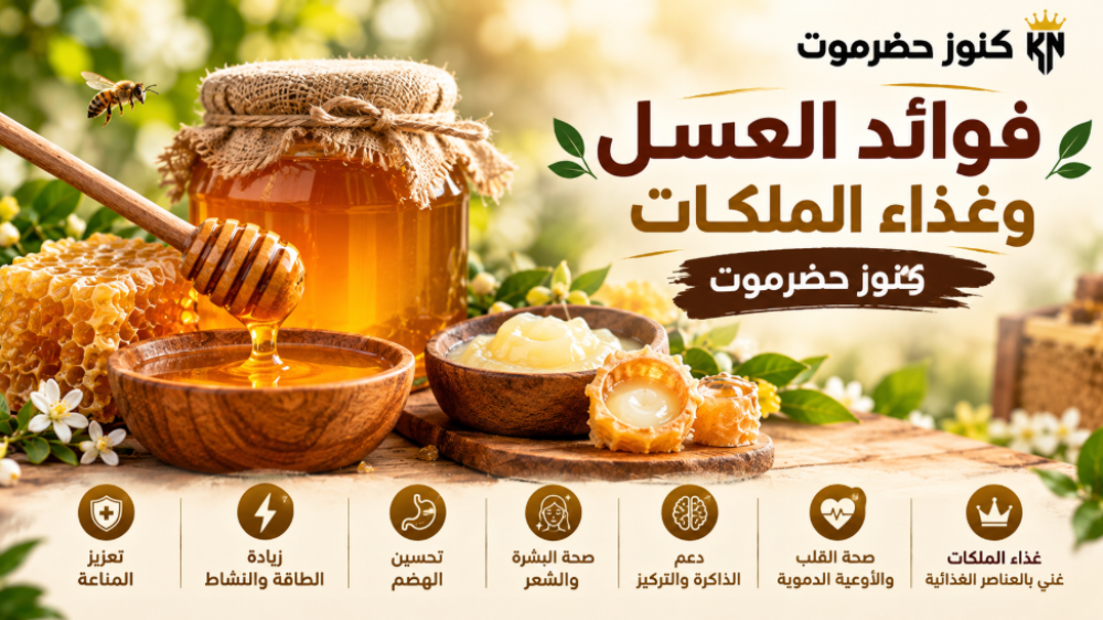 فوائد العسل وغذاء الملكات | كنوز حضرموت