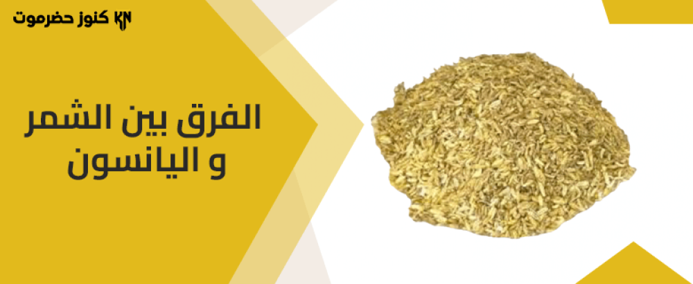 دليل عملي لمعرفة الفرق بين الشمر و اليانسون
