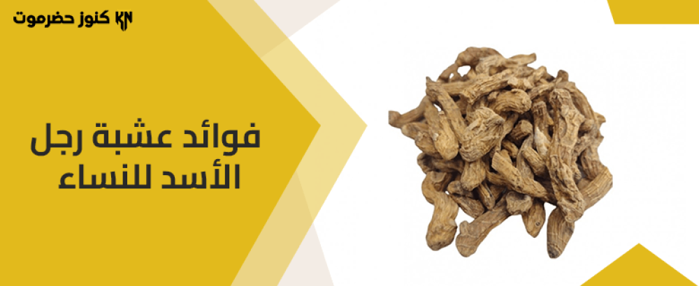 عشبة رجل الأسد للنساء: الفوائد والاستخدامات