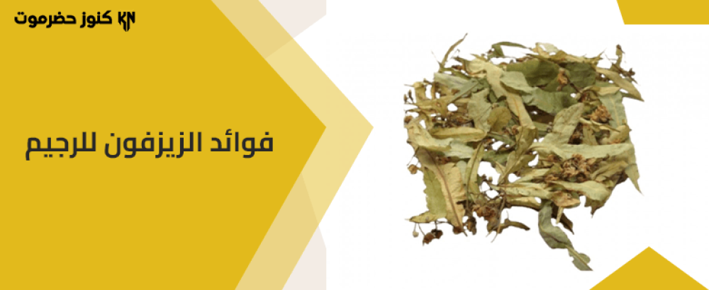 فوائد الزيزفون للرجيم