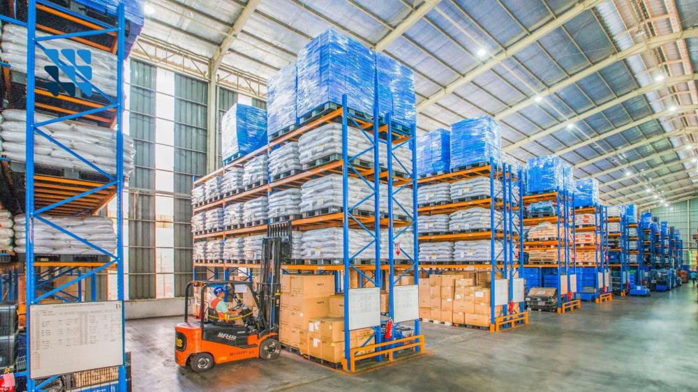 دراسة جدوى مصنع تعبئة وتغليف: لبنة النجاح لمشروعك الصناعي مع سما دراسات