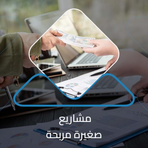 دراسة جدوى 4 مشاريع صغيرة مربحة