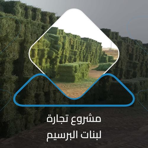 دراسة جدوى مشروع تجارة لبنات البرسيم