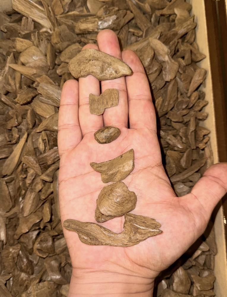 مروكي جواهر