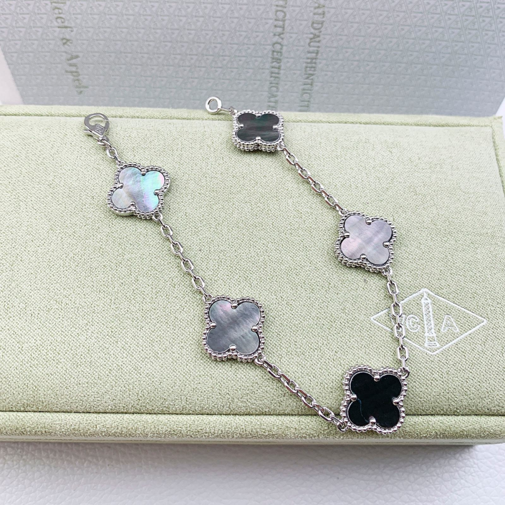 اسورة فان كليف فضي على صدفي