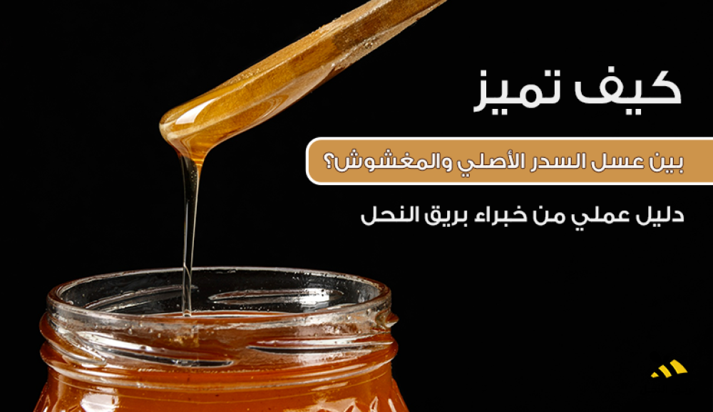 كيف تميز بين عسل السدر الأصلي والمغشوش؟ دليل عملي من خبراء بريق النحل