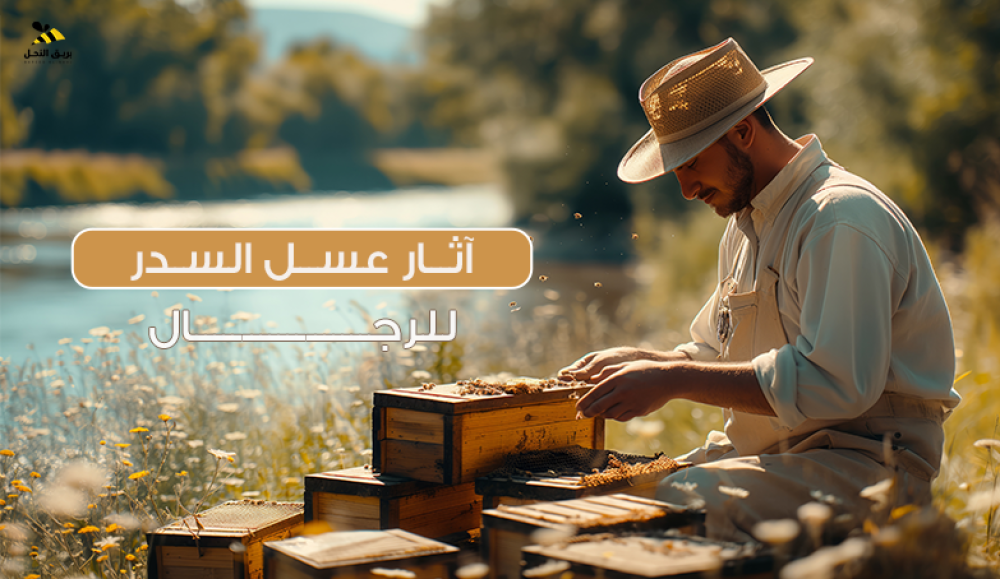 فوائد عسل السدر للرجال