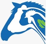 الفارابي
