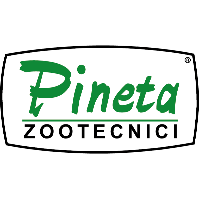 Pineta