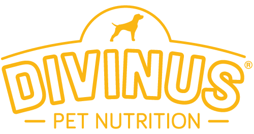 DIVINUS