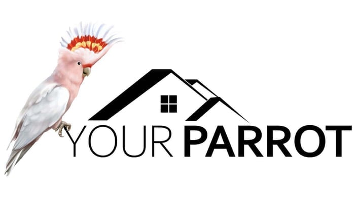 Your Parrot