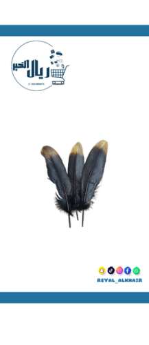 مغلف ريش هدايا اسود *3حبة