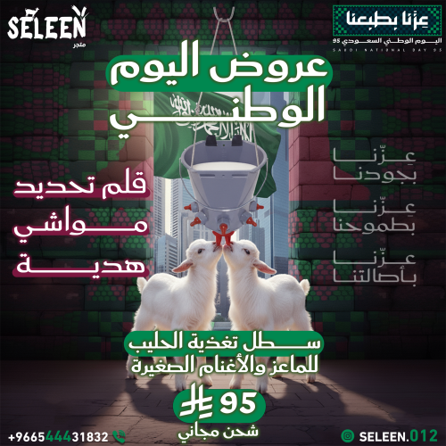 عرض اليوم الوطني 5