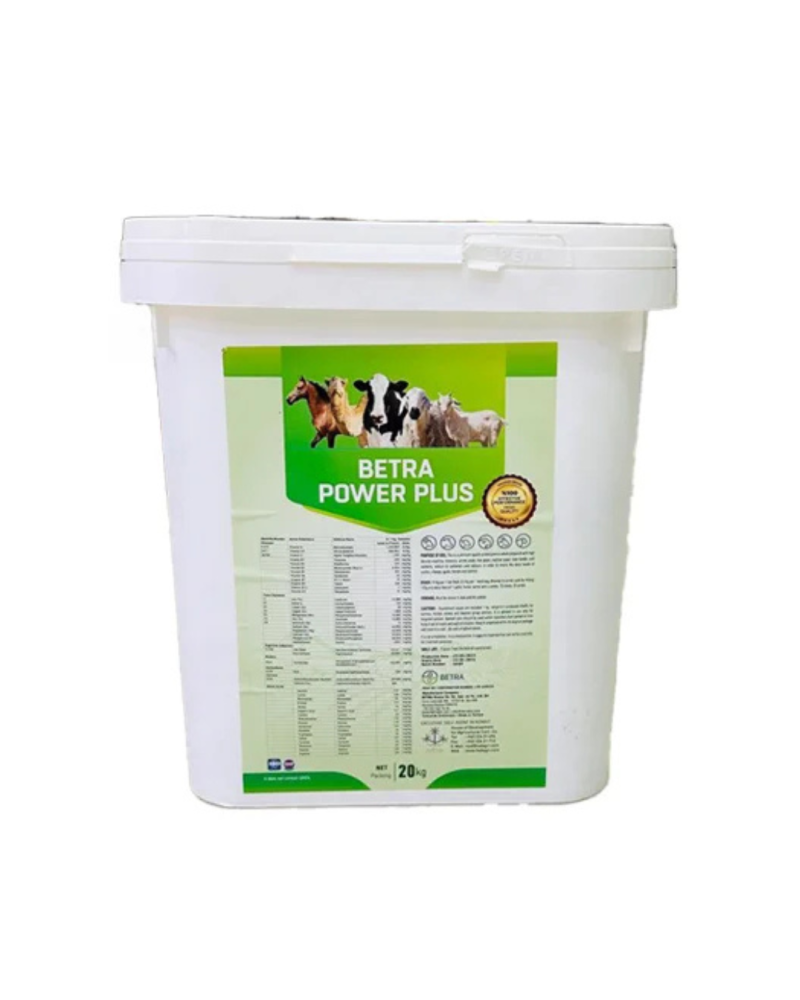 بيترا بور بلس BETRA POWER PLUS