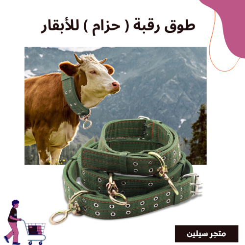 طوق رقبة للأبقار ( حزام ) مع جرس
