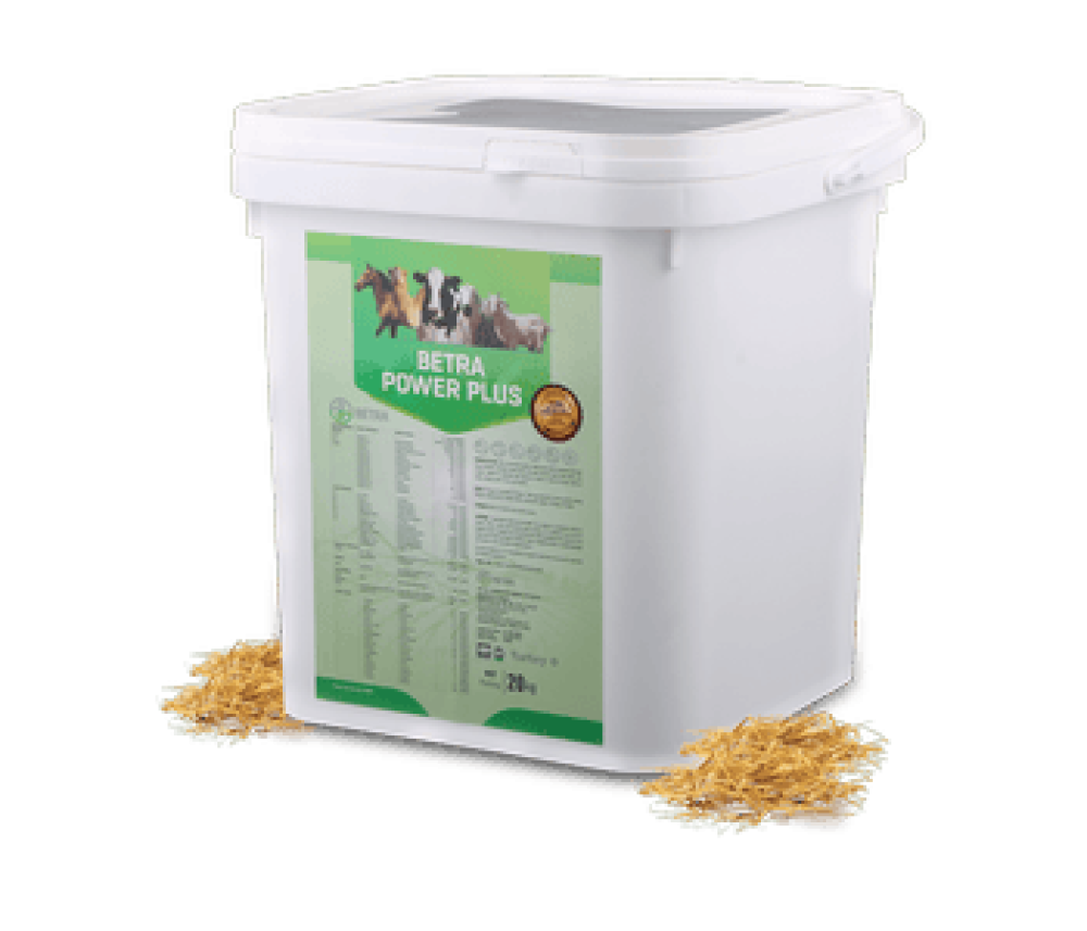 بيترا بور بلس BETRA POWER PLUS