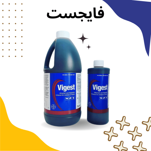 فايجست - vigest