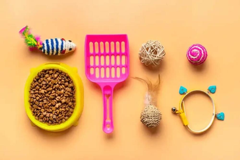 افضل موقع لبيع مستلزمات القطط