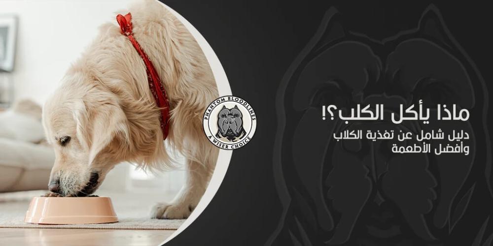 ماذا يأكل الكلب | دليل شامل عن تغذية الكلاب وأفضل الأطعمة
