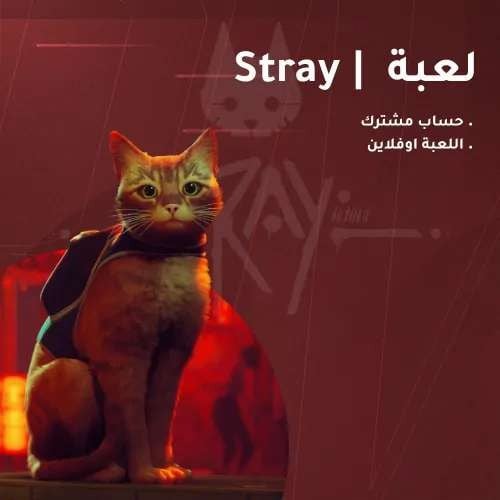 لعبة ستراي | Stray PC حساب ستيم مشترك