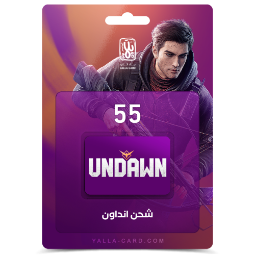 شحن ان داون 55 RC