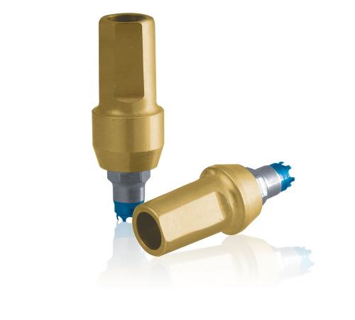 Abutment GingiHue DXPXH  4  1mm