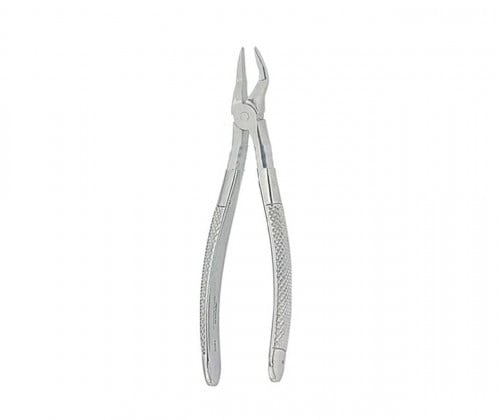 1046 Extracting Forceps English No 39R