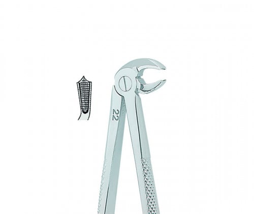 1292 Extracting Forceps English No.22 L.Kr382524