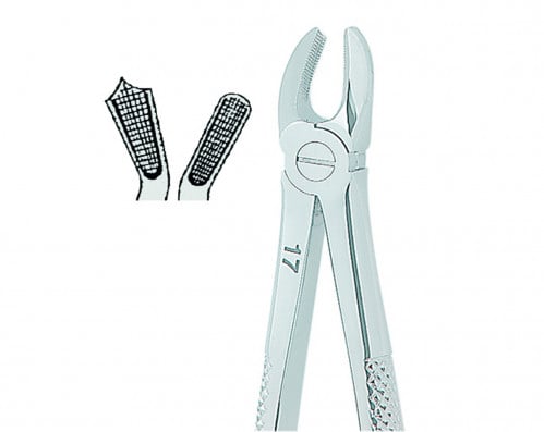 1289 - Extracting Forceps English No. 17