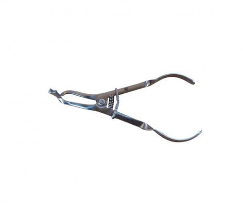 Forceps Stainless Steel H01262
