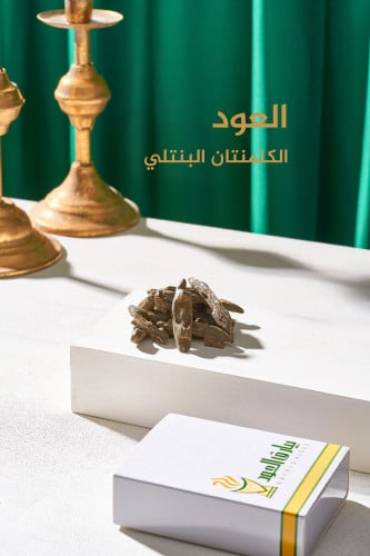 كلمنتان بنتلي