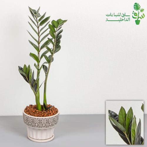 زاميا (سوداء-خضراء) مجهزة بمركن سيراميك بنقوش مميز...