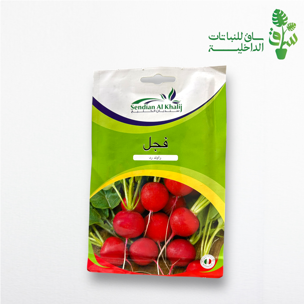 بذور فجل