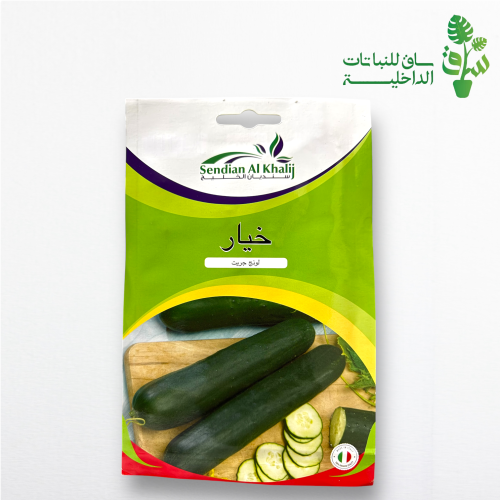 بذور خيار
