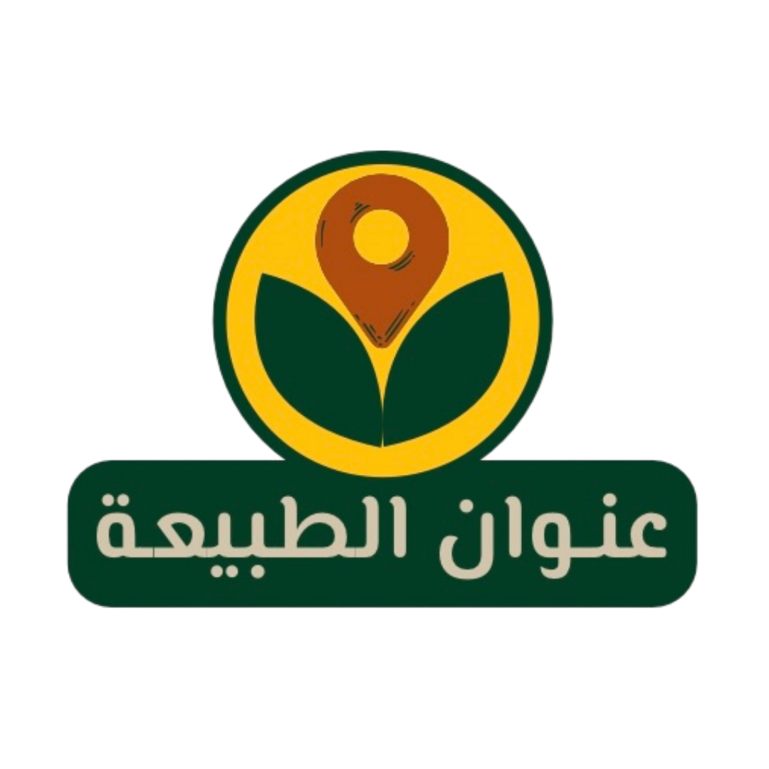 store avatar