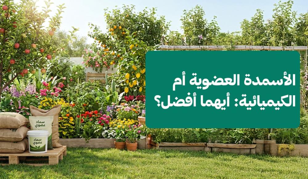 الأسمدة العضوية أم الكيميائية: أيهما أفضل؟