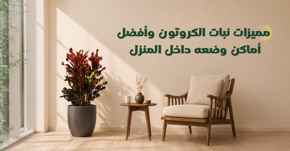 مميزات نبات الكروتون وأفضل أماكن وضعه داخل المنزل