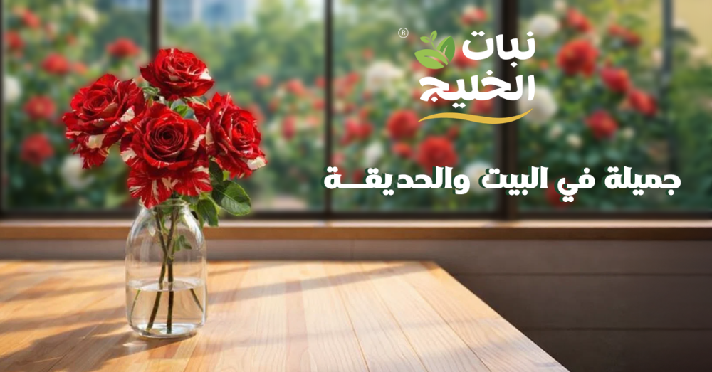 فوائد الأشجار العطرية وكيف تضيف أجواءً جميلة في البيت والحديقة