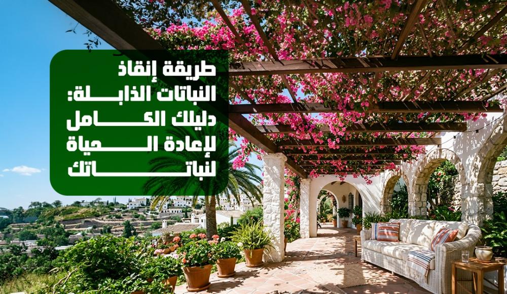 طريقة إنقاذ النباتات الذابلة: دليلك الكامل لإعادة الحياة لنباتاتك