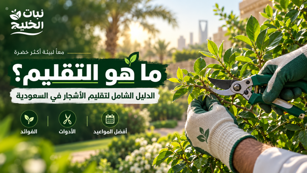ما هو التقليم؟ الدليل الشامل لتقليم الأشجار في السعودية