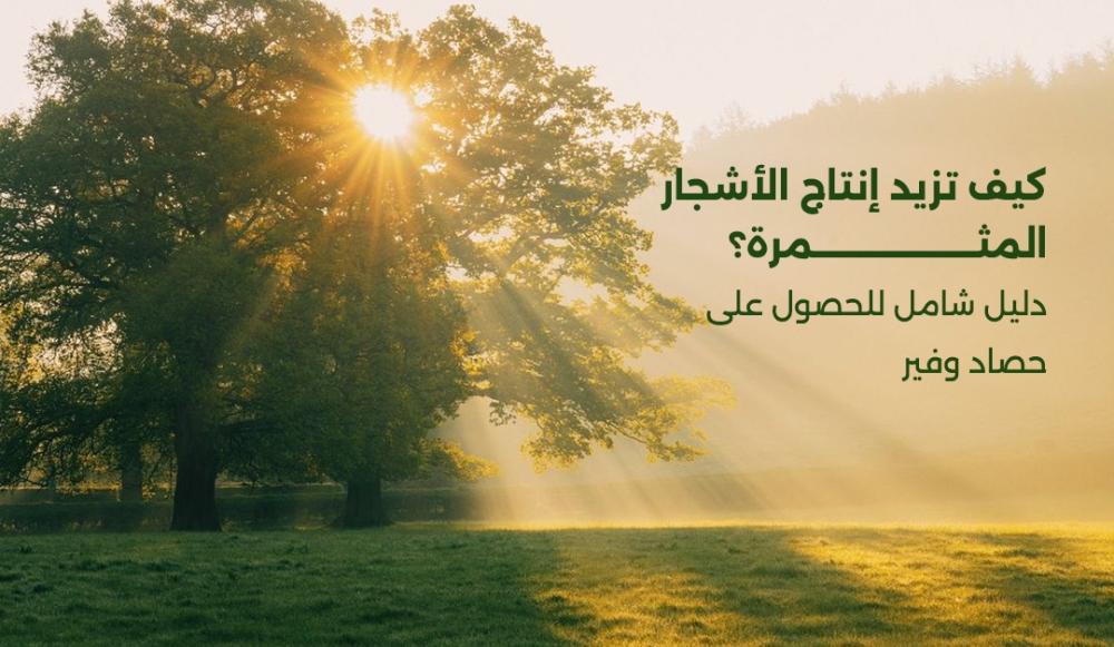 كيف تزيد إنتاج الأشجار المثمرة؟ دليل شامل للحصول على حصاد وفير